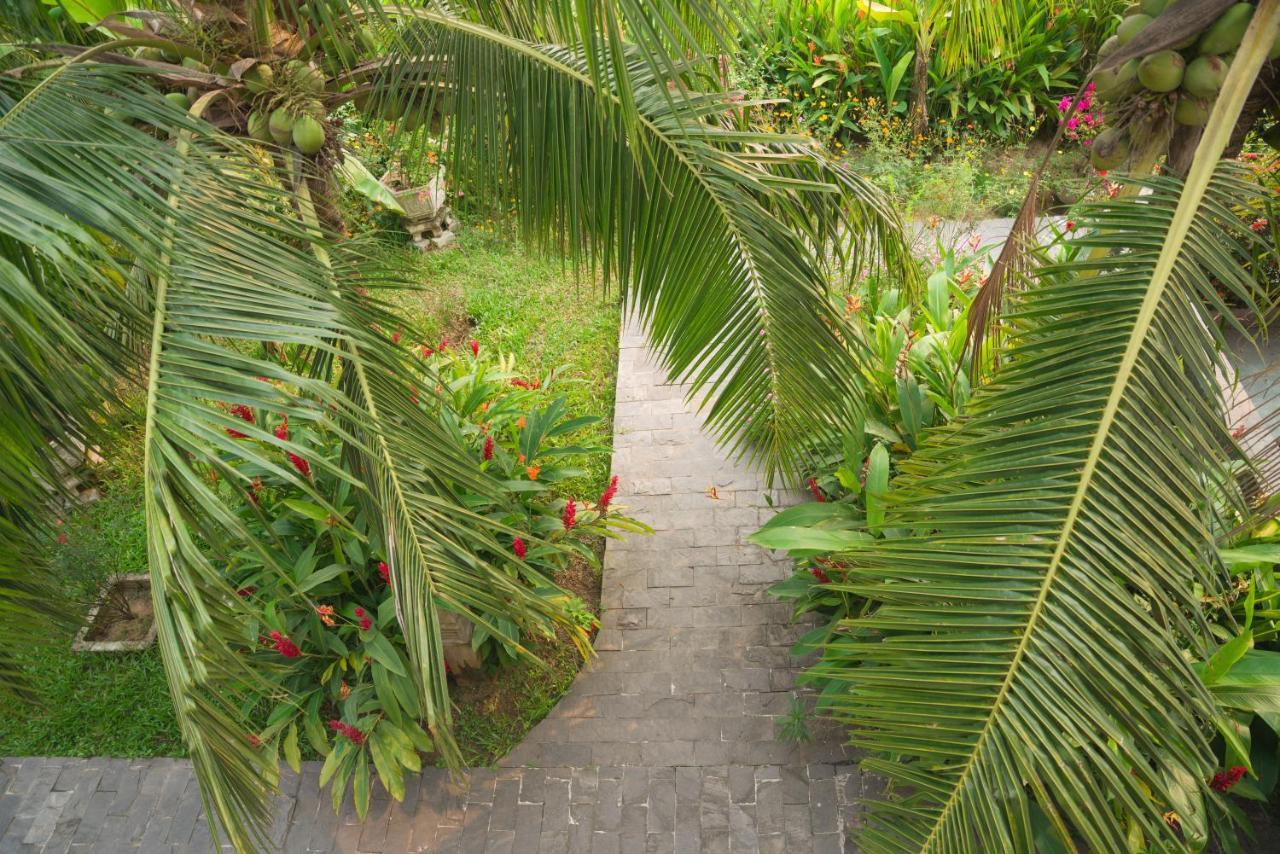 Hoi An Luna Villa Exteriér fotografie