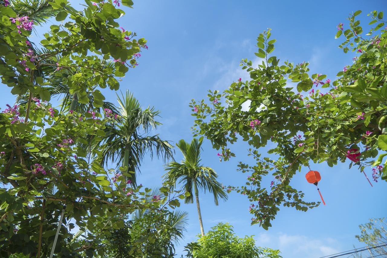 Hoi An Luna Villa Exteriér fotografie